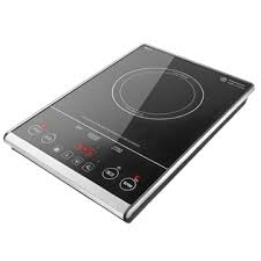 FROZEN INDUCTION 700191